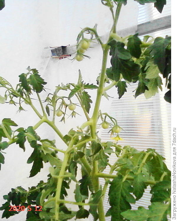 когда солнышко светит укрывной отодвигаю))