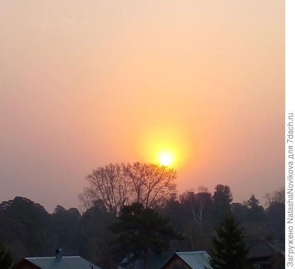 рассвет в какой то дымке, солнышко злое.