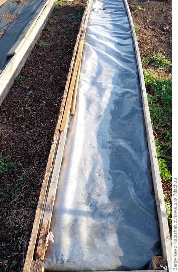 грядочка длиной 4,20 м шириной 60см