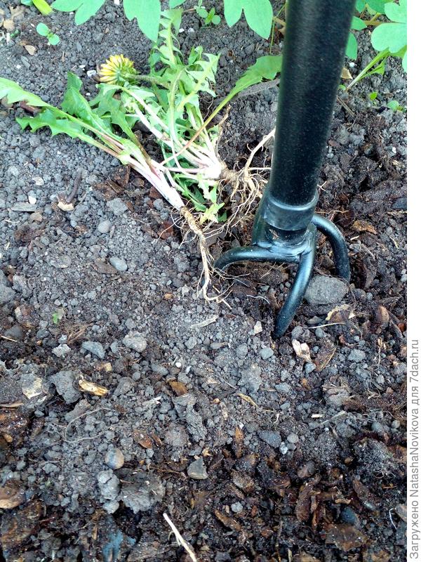 легко, удобно, бвстро