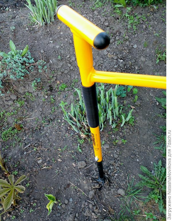 красавец - стройняшка, но сильный))