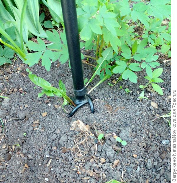 в землю под многолетними цветами входит легко, как нож по маслицу))