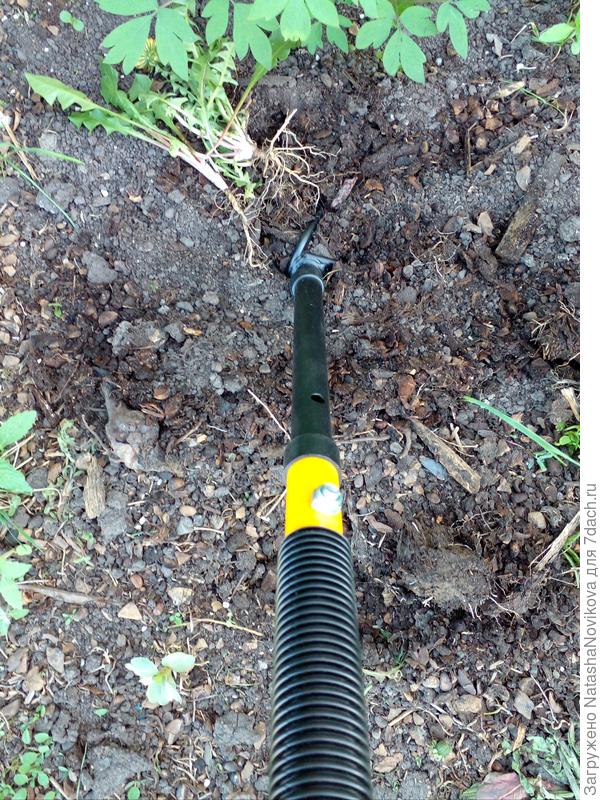 красавец - помощник