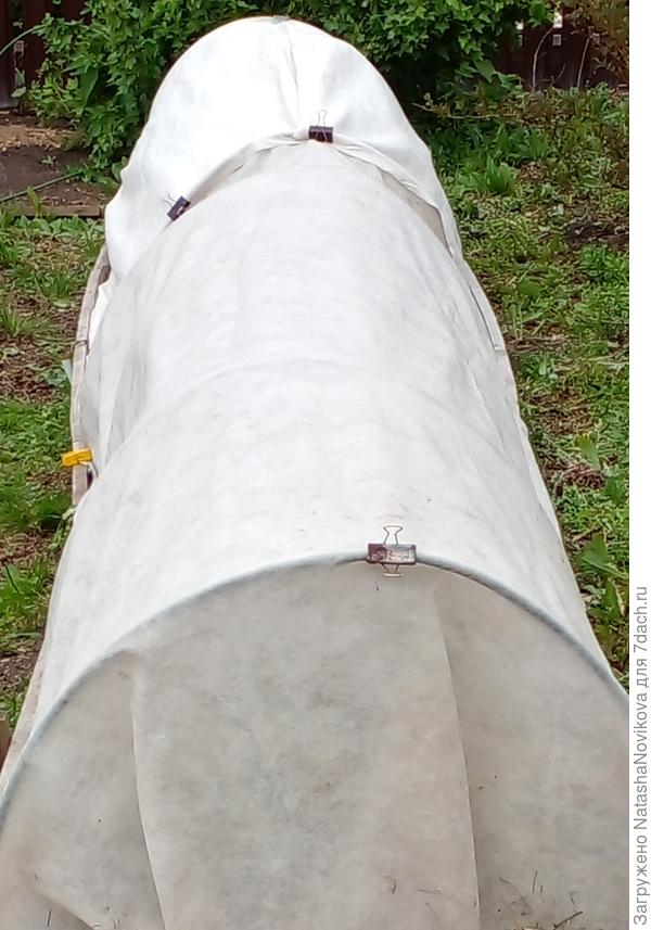 упаковала, проверила)) в случае заморозка наброшу на ночь старые одеялки, дуги выдержат))