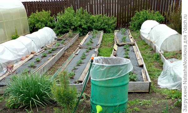 половина огорода под дугами, сегодня сил уже нет, завтра буду собирать черепки, что бы закрыть картошечку