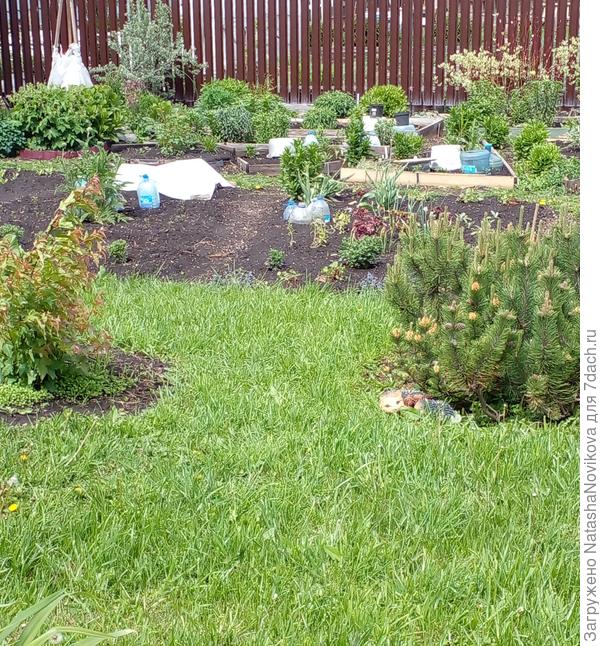 вёдра, тазики...бутылки...всё пригодилось