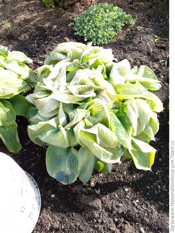 хосты почти все 15 штук побило((