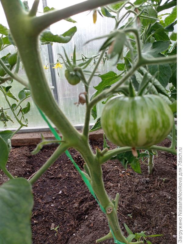 девушка капризничает))