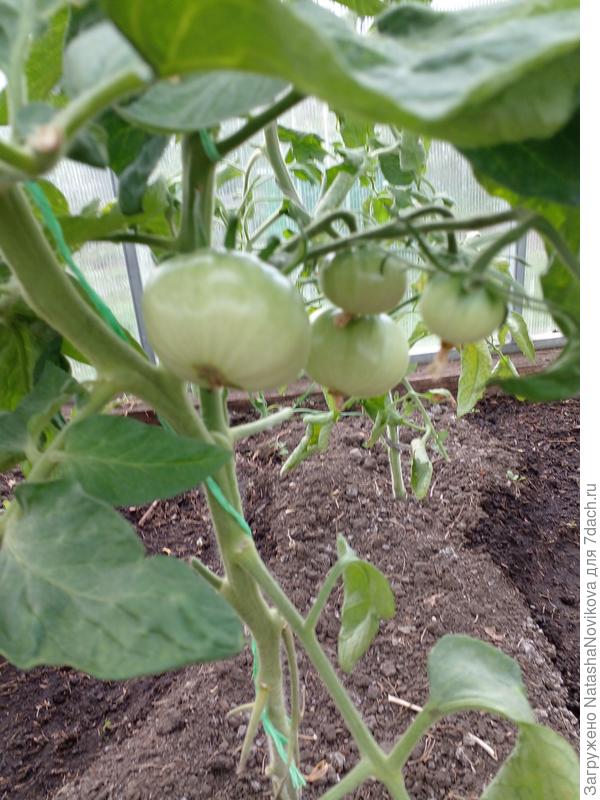 застолье. забыла какое)) от партнёра