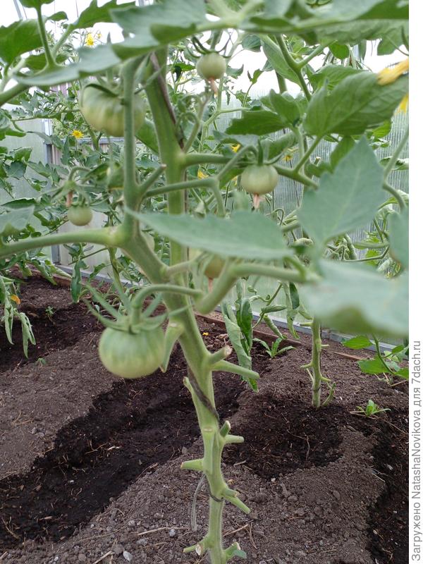 ещё застолье