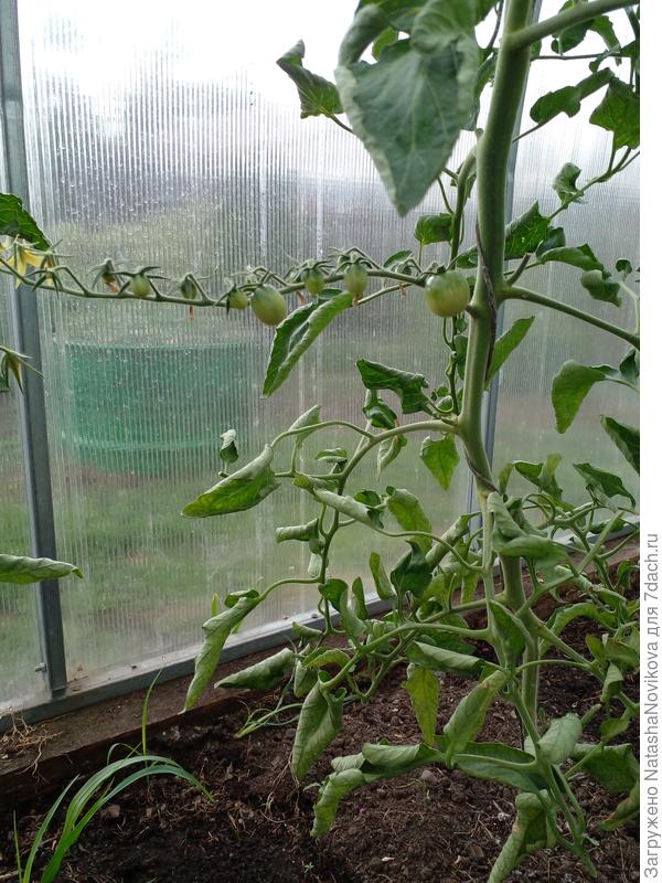 краски то же чего то думают