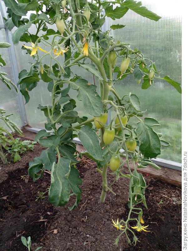 пламя скоро засветится