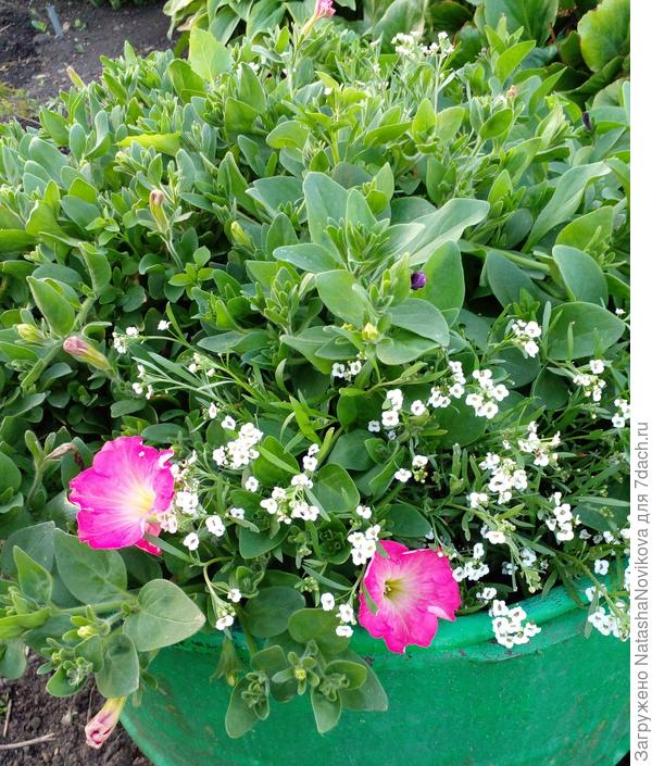 отогрелись))