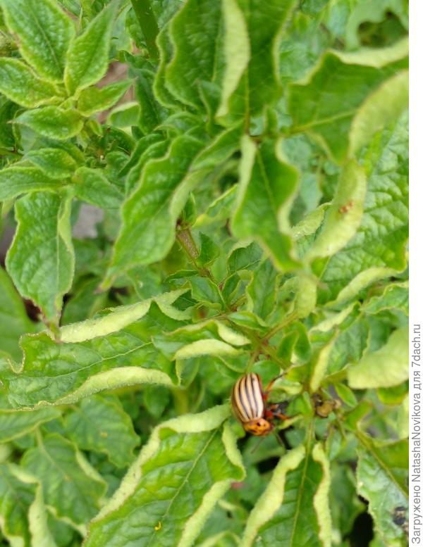 5 августа 2021 года