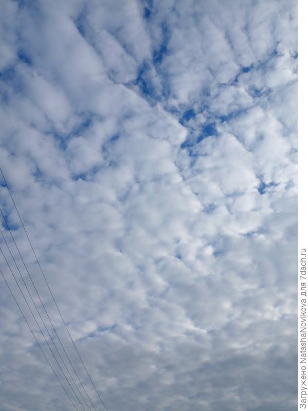 вата из облаков северная часть неба