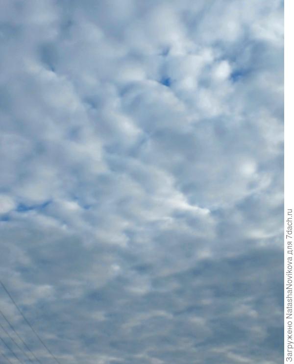 на западе то же вата