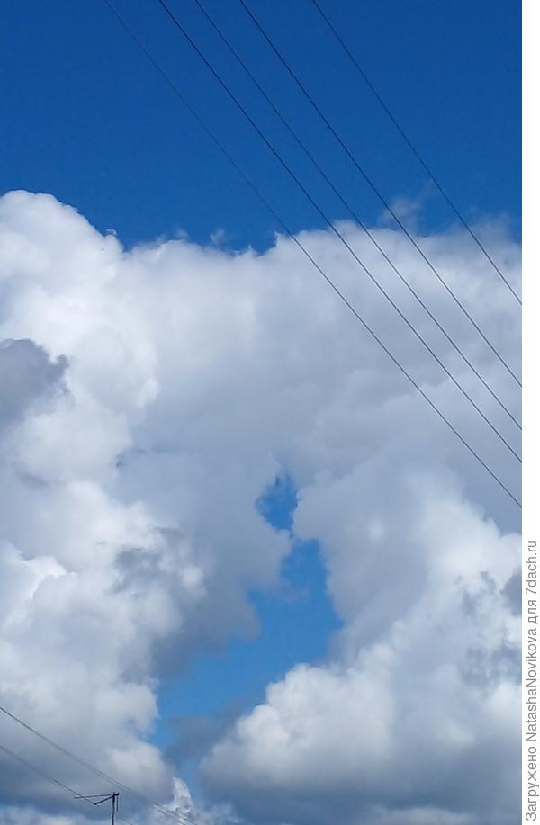 вход в портал