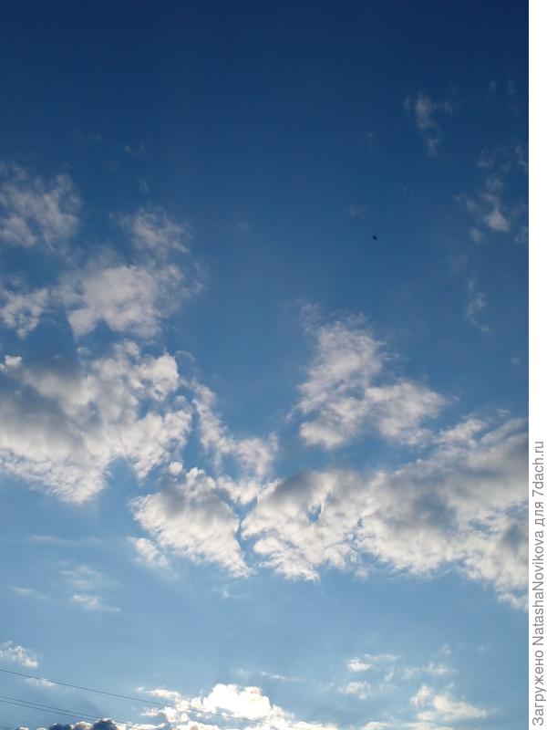 и пусть будет