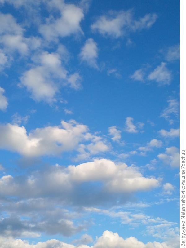 и свой вечностью, оно будет всегда