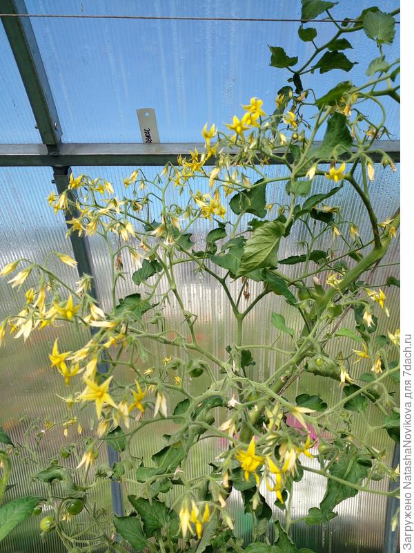 &quot;краски&quot;