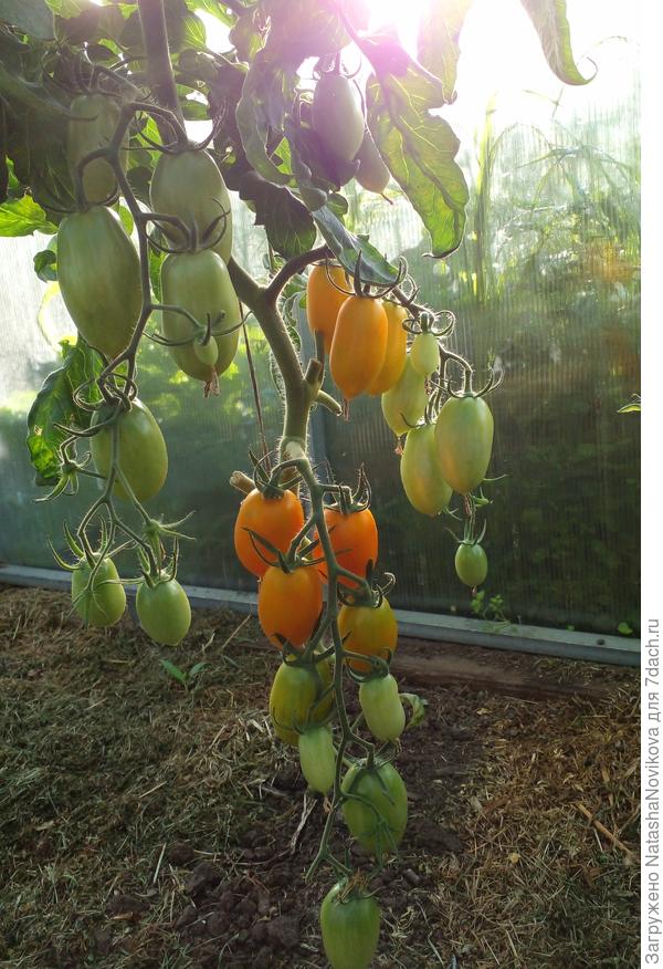 и полосочек я не вижу