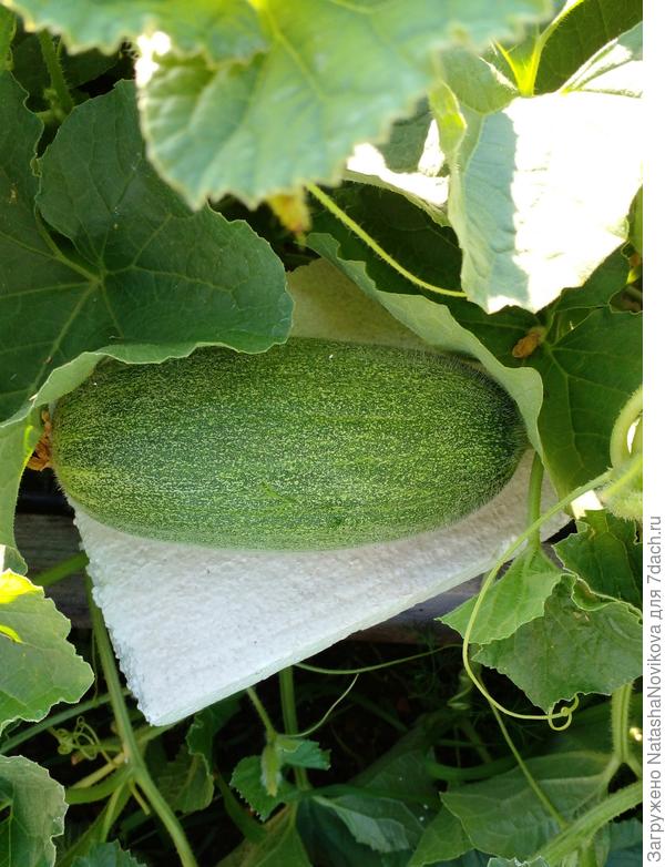 еле - еле уложила, что бы ничего не сломать