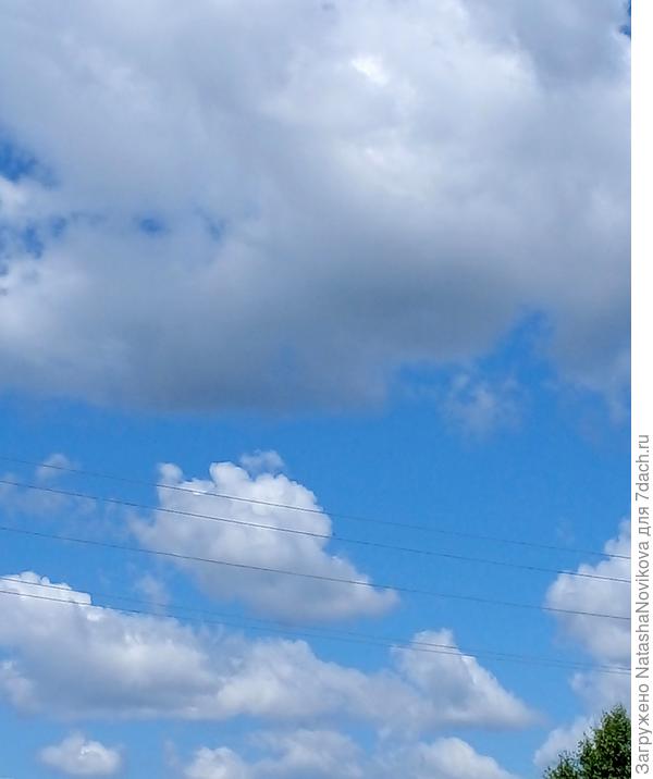 нижнее облачко - ушастый мышонок))