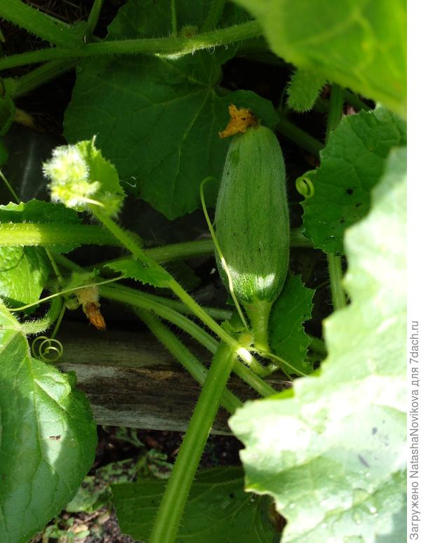 может их удалить?