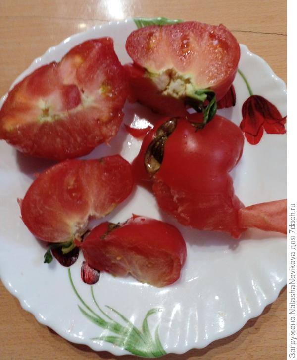 но очень сочный и мясистый)) шкурка легко снимается и тоненькая