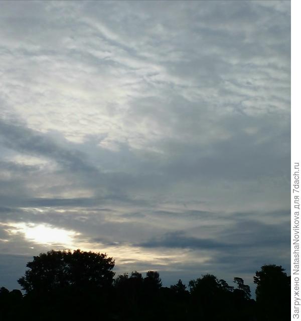 то ли осень, то ли лето((