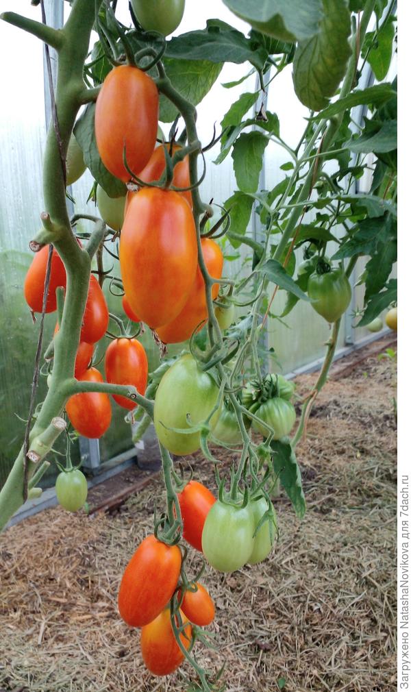 пламя начали пламенеть))