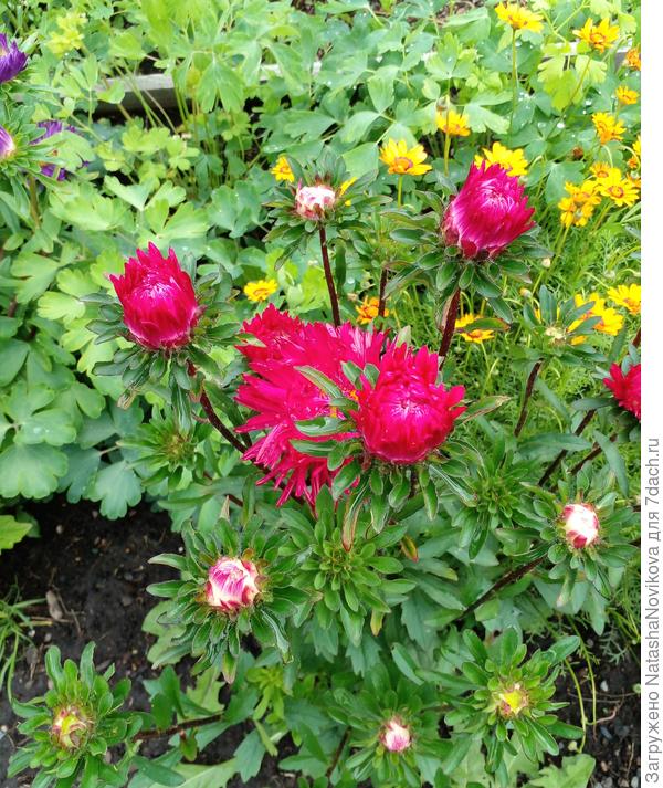 неужели осень близко