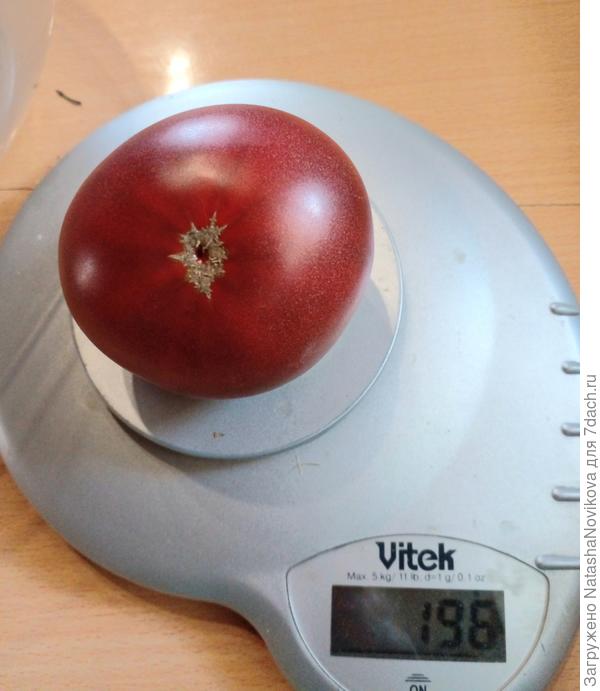 &quot;крутой папа&quot;