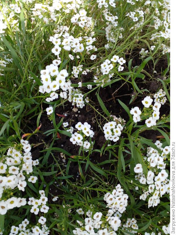 наглые нахлебники(( ненавижу((