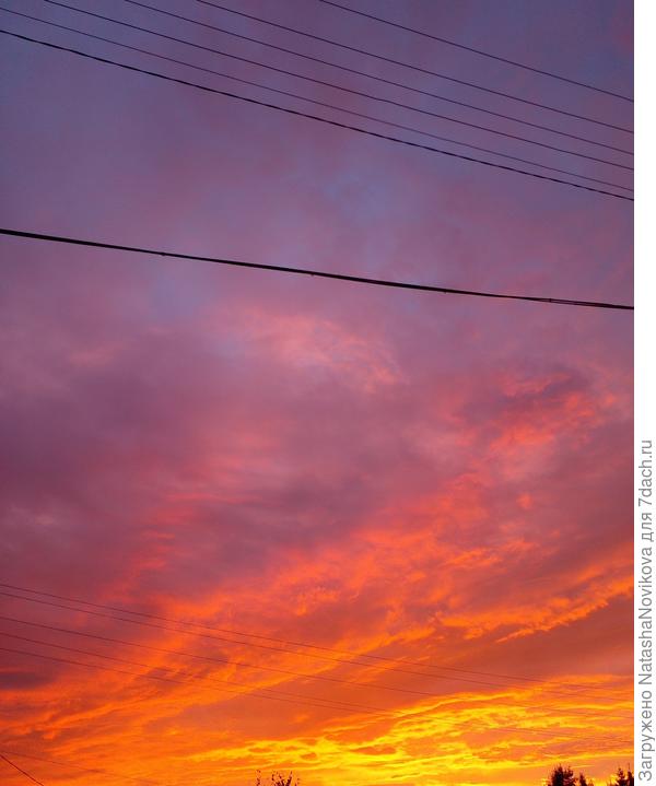 закат сегодня, 1 августа, бархатного и не предсказуемого месяца, но это уже точно сооовсем другая история))