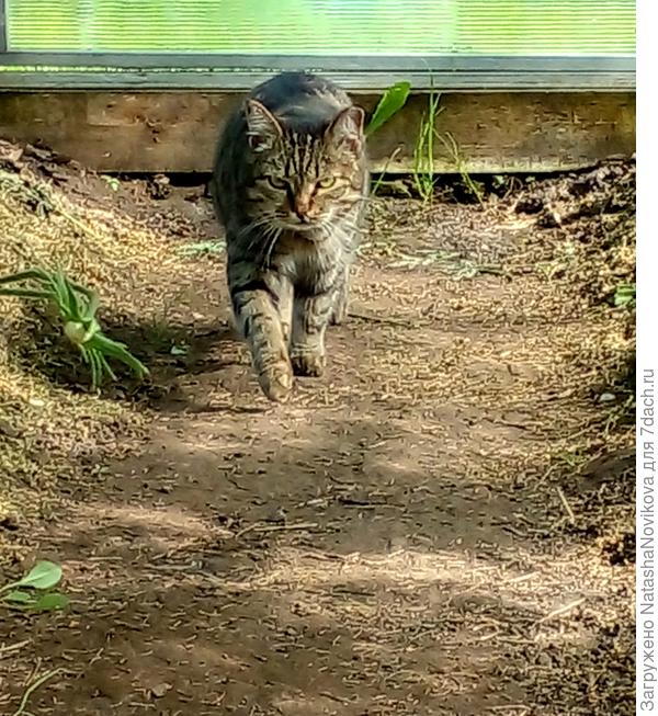 контролирует ))