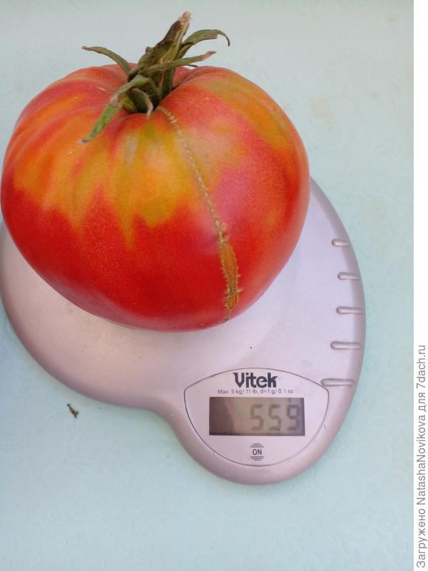 то же от Леры))