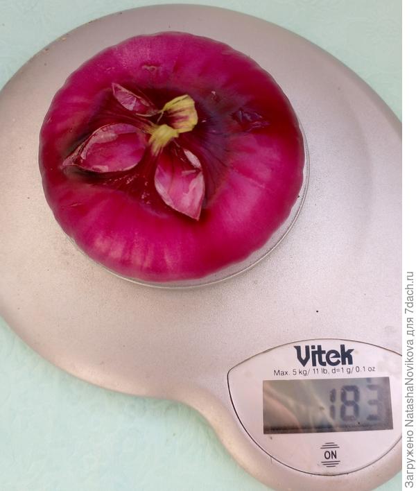 взяла среднюю луковицу