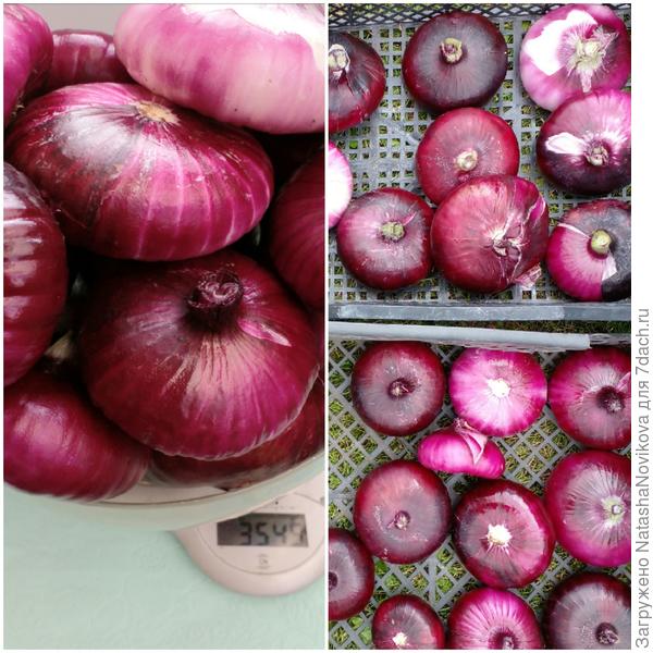 "ялтинский" на просушке, нужно о нём написать отчётик))