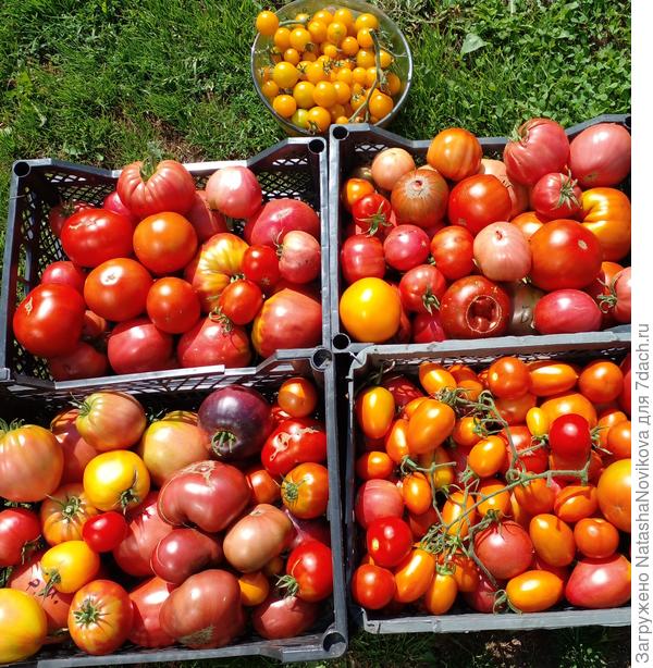 собралось сегодня ))