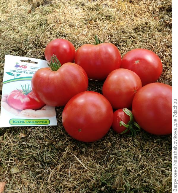 &amp;quot;праздник застолья&amp;quot; порадовал, мясистые и вкусные, начинаю верить &amp;quot;партнёру&amp;quot; ))