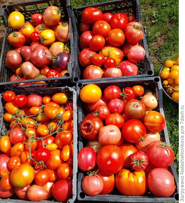 вкусно и радостно, не зря трудилась))