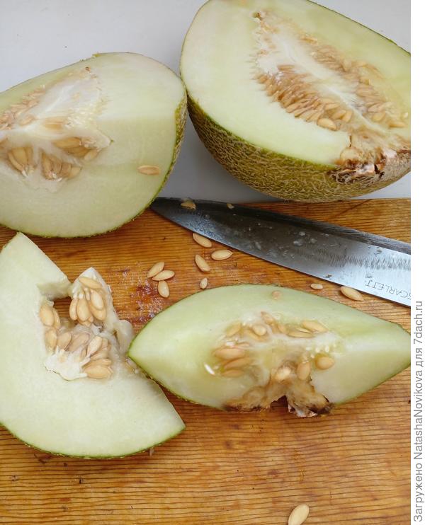 дынька абсолютно не спелая