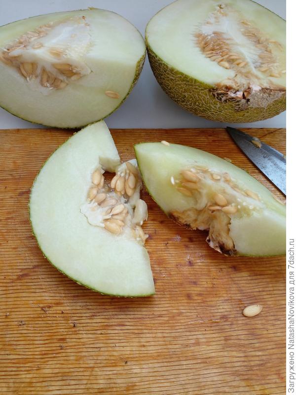 попробовала кусочек на зуб)) вкус дыни есть, но в послевкусии горчинка, как будто бы дынька пропала