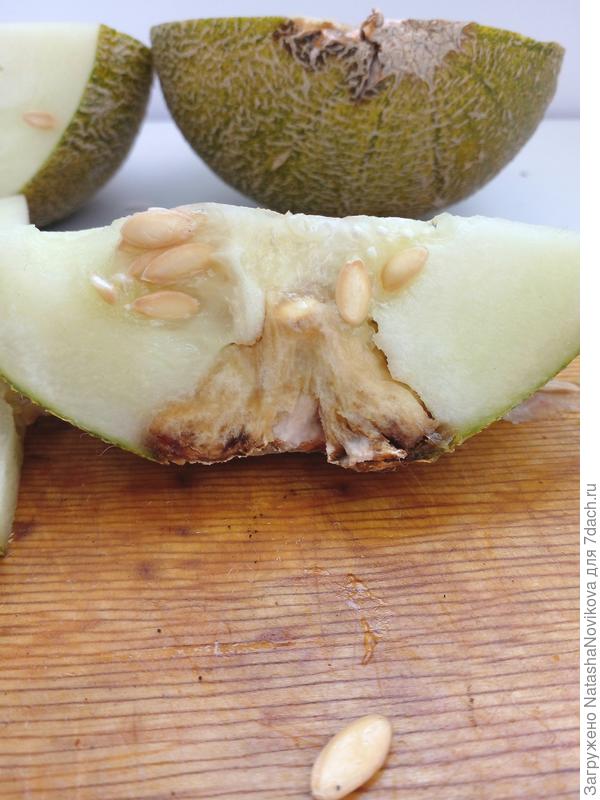 и вот это пятно на дыньке меня смущает - похоже на гниль, но без постороннего запаха