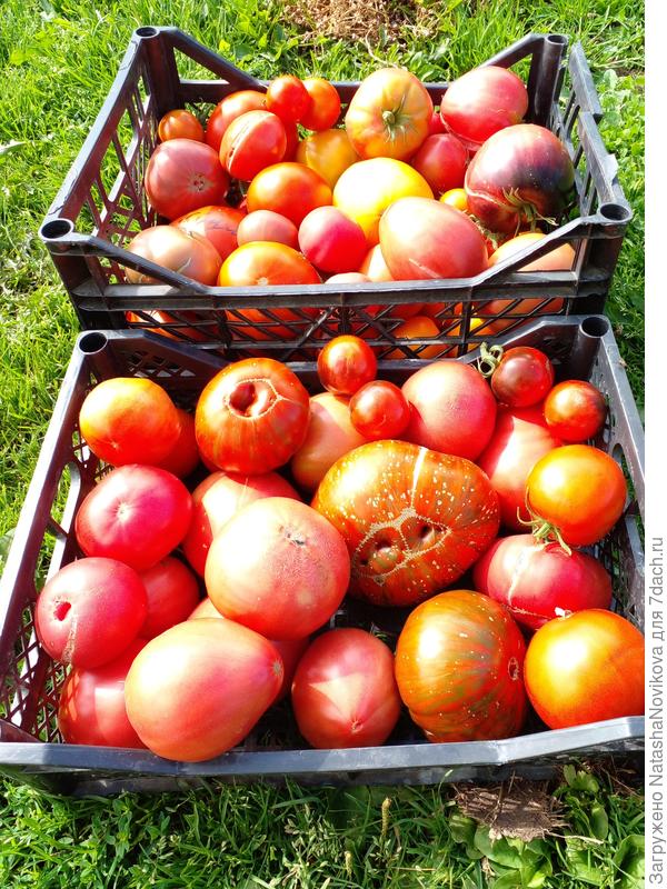 а это сегодняшний съём))