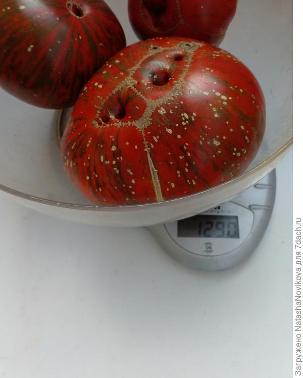 дЭвушки - отвал башки))