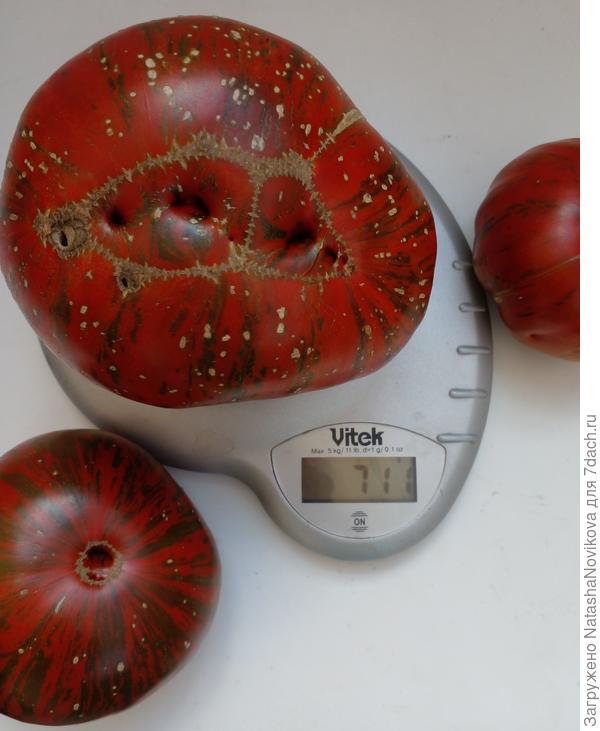 рекордсменка))