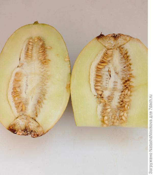 пахнет натуральной дыней, если бы доспела, не лопаясь, была бы настоящей))