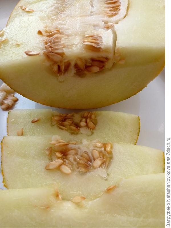 очень сочная и была бы сладкой